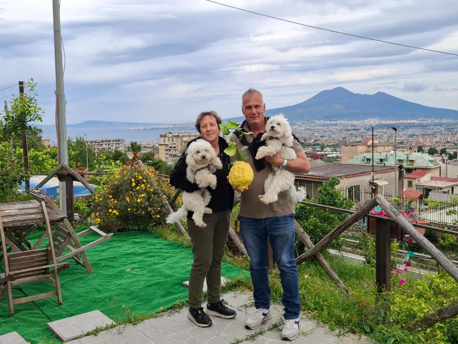 B&B Il Limoneto Gragnano Extérieur photo